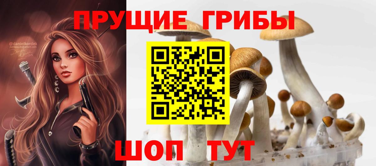 Галлюциногенные грибы мицелий Анжеро-Судженск